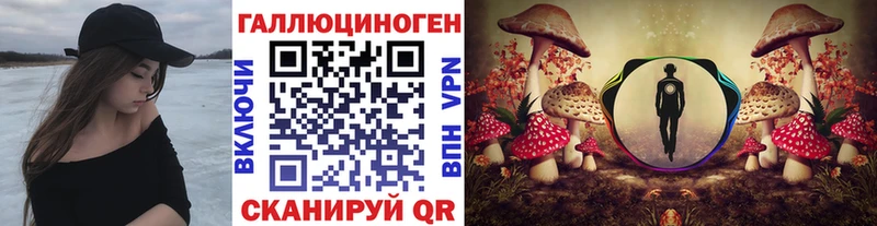 Купить закладки  Усолье-Сибирское  Псилоцибиновые грибы Cubensis 